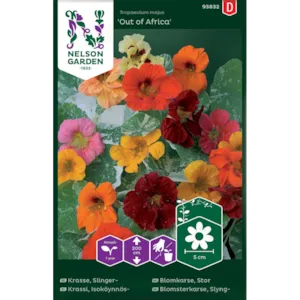 Frø blomkarse Out Of Africa