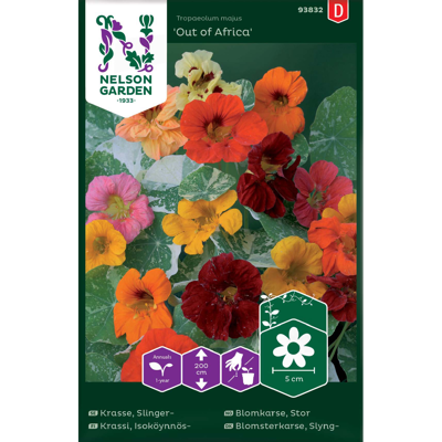 Frø blomkarse Out Of Africa