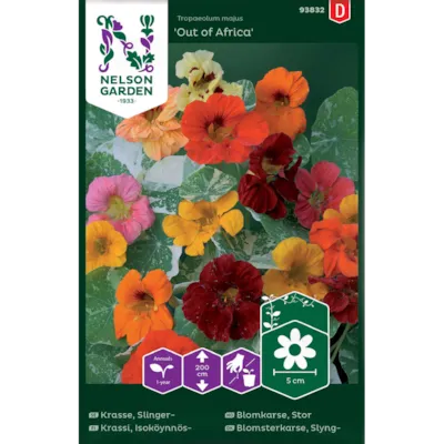 Frø blomkarse Out Of Africa