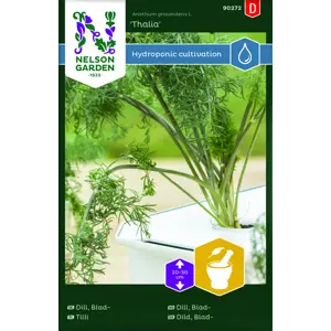 Frø bladdill Thalia Harvy