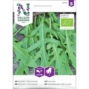 Frø ruccola økologisk