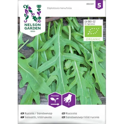 Frø ruccola økologisk