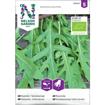 Frø ruccola økologisk
