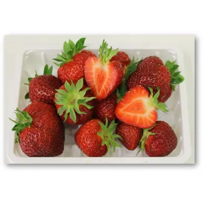 Jordbær Fragaria 6 pk Glede, bilde 4