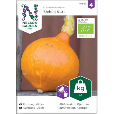 Frø kjempegresskar Uchiki Kuri økologisk