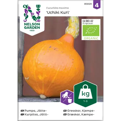 Frø kjempegresskar Uchiki Kuri økologisk