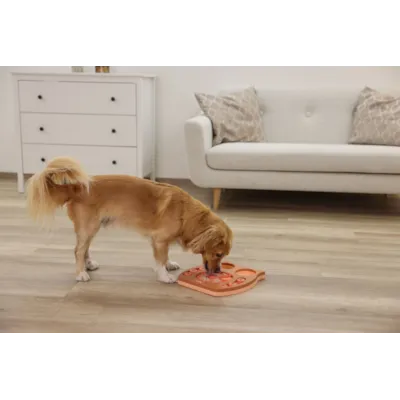 Aktivitetsbrett Owl, bilde 9