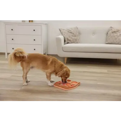 Aktivitetsbrett Owl, bilde 9