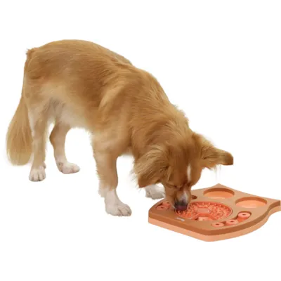 Aktivitetsbrett Owl, bilde 8