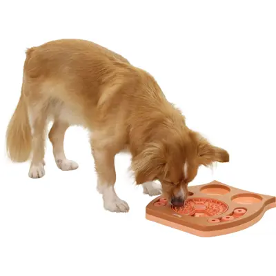 Aktivitetsbrett Owl, bilde 8