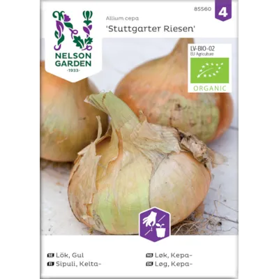 Frø kepaløk Stuttgarter Riesen økologisk