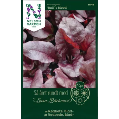 Frø bladrødbete Bull's Blood