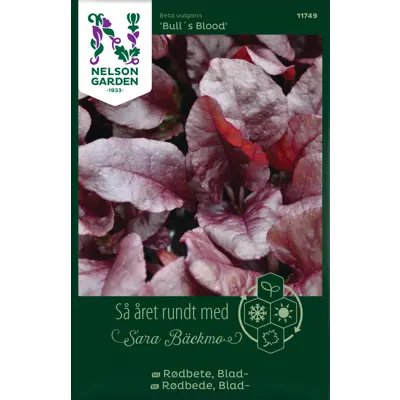 Frø bladrødbete Bull's Blood