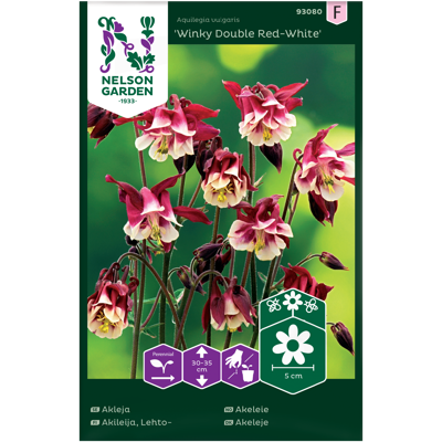 Frø akeleie Winky Double Red-White