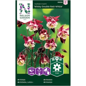 Frø akeleie Winky Double Red-White