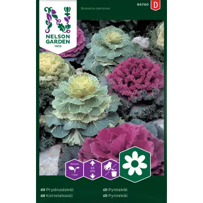 Frø pyntekål, bilde 2