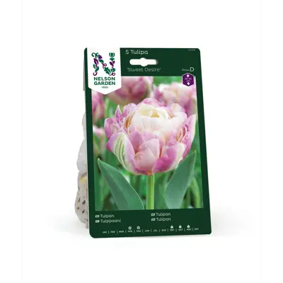 Høstløk tulipan Sweet Desire