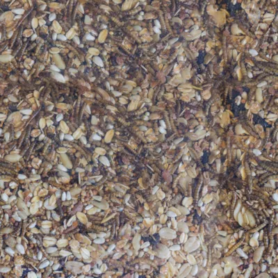 Villfuglblanding sommer 5 kg, bilde 3