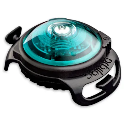 Sikkerhetslys turkis