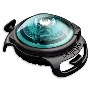 Sikkerhetslys turkis