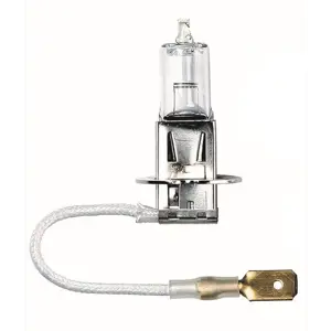 Lyspære 55W