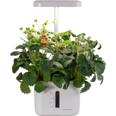 Dyrkingssett Urban Growing P4, bilde 3