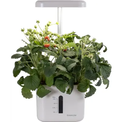 Dyrkingssett Urban Growing P4, bilde 3