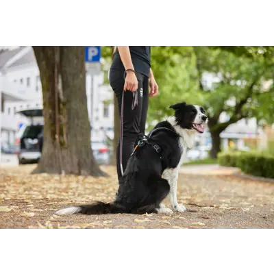 Kobbel Move 170 cm lilla, bilde 2