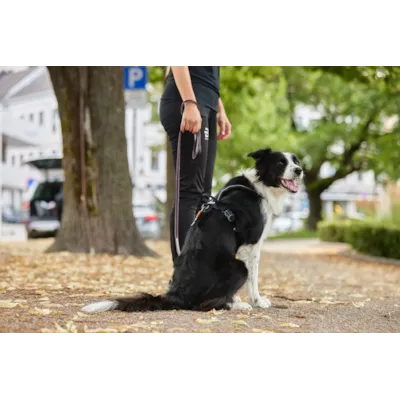 Kobbel Move 170 cm lilla, bilde 2