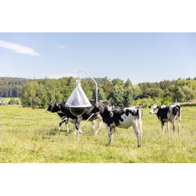 Insektsfelle Tanox for klegg, bilde 6