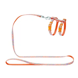 Kattesele og kobbel oransje