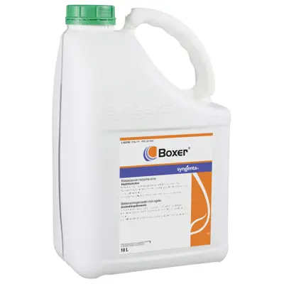 Boxer 10 L