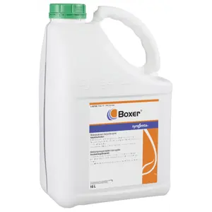Boxer 10 L