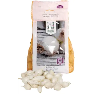 Setteløk sølvløk Snowball 250 g