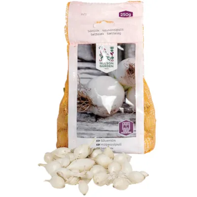 Setteløk sølvløk Snowball 250 g