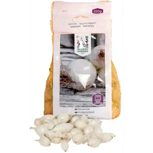 Setteløk sølvløk Snowball 250 g