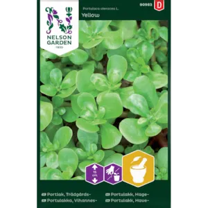 Frø hageportulakk Yellow