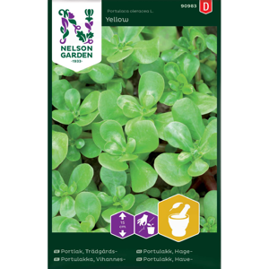 Frø hageportulakk Yellow