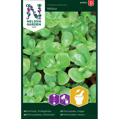 Frø hageportulakk Yellow