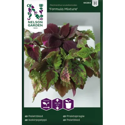 Frø praktspragle Formula Mixture