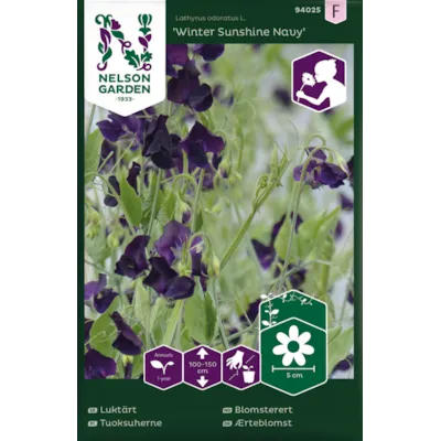 Frø blomsterert Winter Sunshine Navy