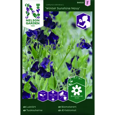 Frø blomsterert Winter Sunshine Navy