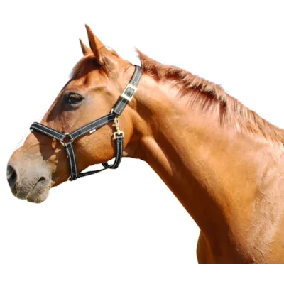 Soft grime med refleks svart