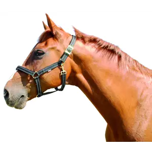 Soft grime med refleks svart