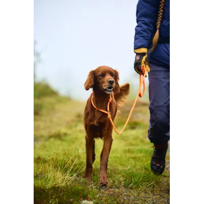 Retriverkobbel 160 cm svart, bilde 2