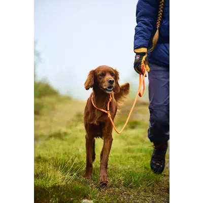Retriverkobbel 160 cm svart, bilde 2