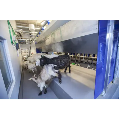 Parallellstall til geit, bilde 3