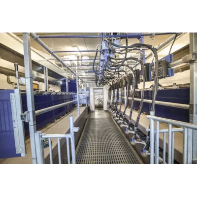 Parallellstall til geit, bilde 5