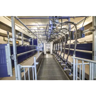 Parallellstall til geit, bilde 5