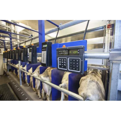 Parallellstall til geit, bilde 6